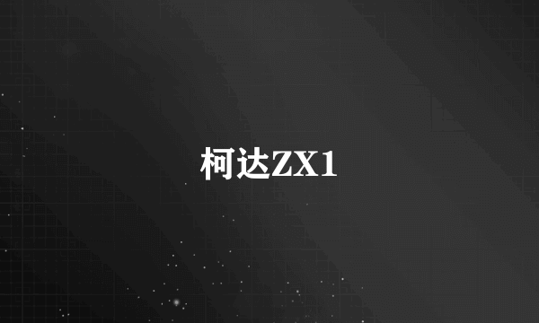 什么是柯达ZX1