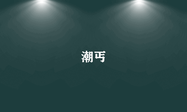 潮丐