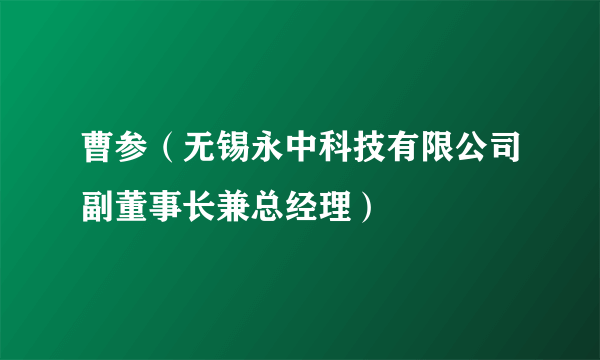 曹参（无锡永中科技有限公司副董事长兼总经理）