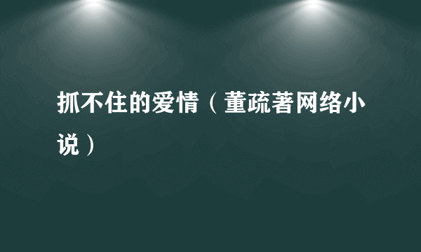 什么是抓不住的爱情（董疏著网络小说）