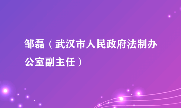 邹磊（武汉市人民政府法制办公室副主任）