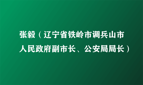 张毅（辽宁省铁岭市调兵山市人民政府副市长、公安局局长）