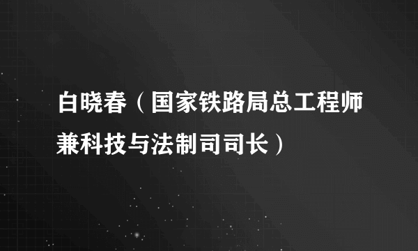 白晓春（国家铁路局总工程师兼科技与法制司司长）