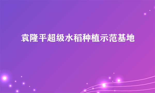 袁隆平超级水稻种植示范基地