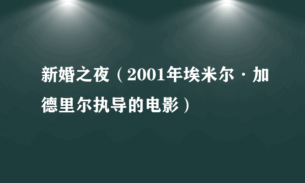 新婚之夜（2001年埃米尔·加德里尔执导的电影）