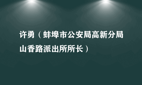 许勇（蚌埠市公安局高新分局山香路派出所所长）