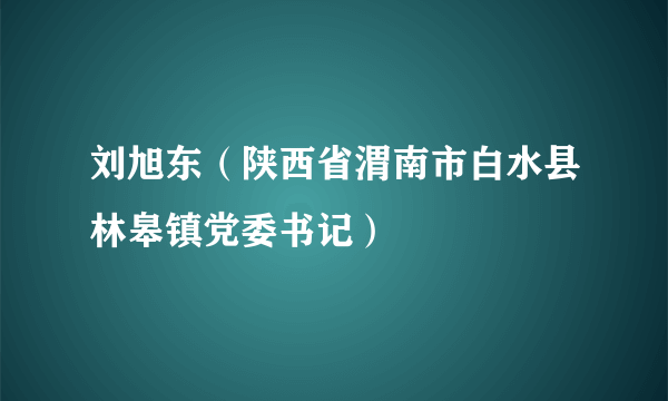 刘旭东（陕西省渭南市白水县林皋镇党委书记）