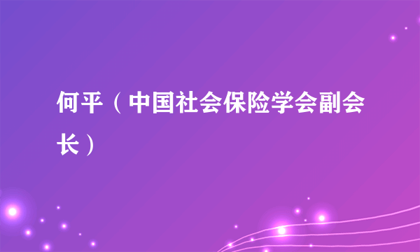 何平（中国社会保险学会副会长）