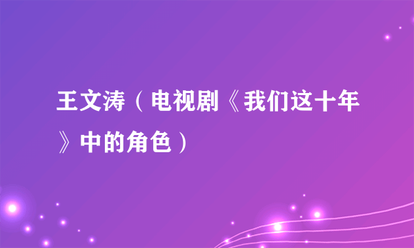 王文涛（电视剧《我们这十年》中的角色）