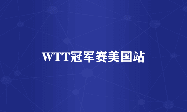 WTT冠军赛美国站