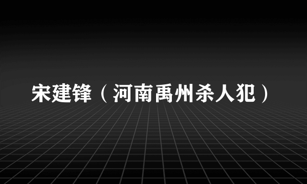 什么是宋建锋（河南禹州杀人犯）