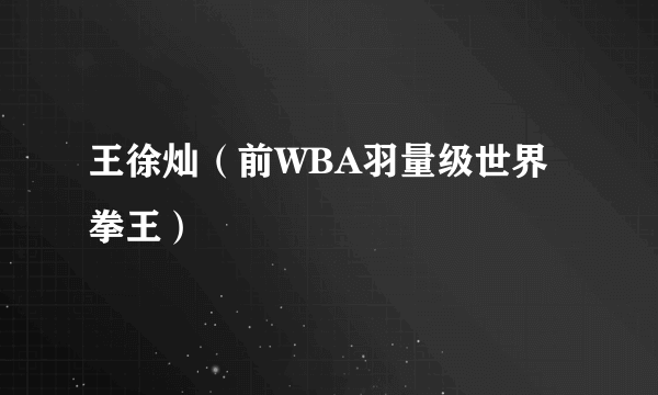 王徐灿（前WBA羽量级世界拳王）