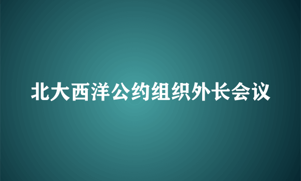 北大西洋公约组织外长会议