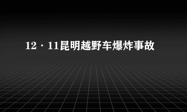 12·11昆明越野车爆炸事故