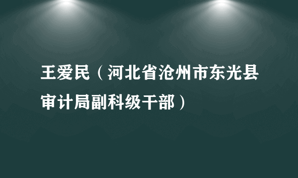 什么是王爱民（河北省沧州市东光县审计局副科级干部）