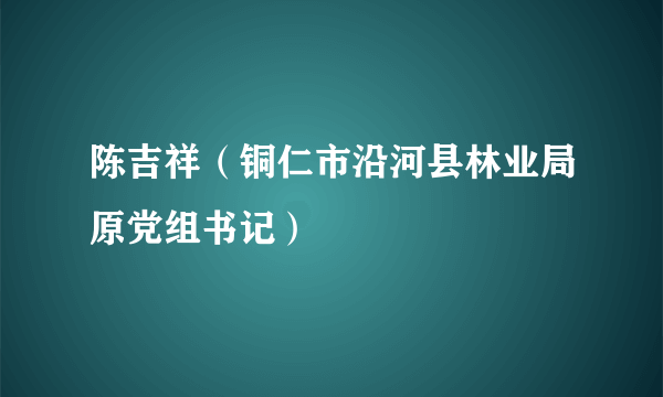 陈吉祥（铜仁市沿河县林业局原党组书记）