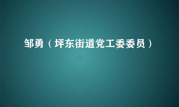 邹勇（坪东街道党工委委员）