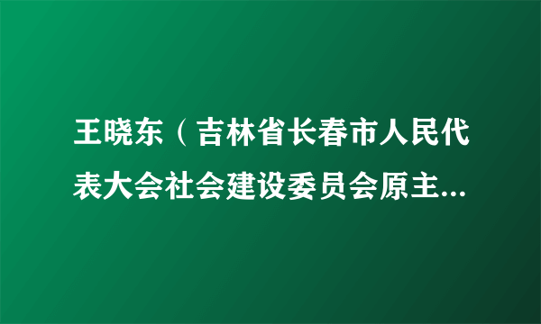 王晓东（吉林省长春市人民代表大会社会建设委员会原主任委员）