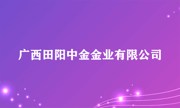 广西田阳中金金业有限公司