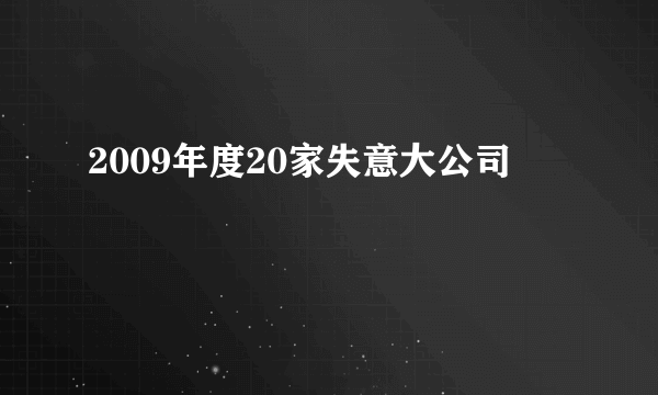 2009年度20家失意大公司