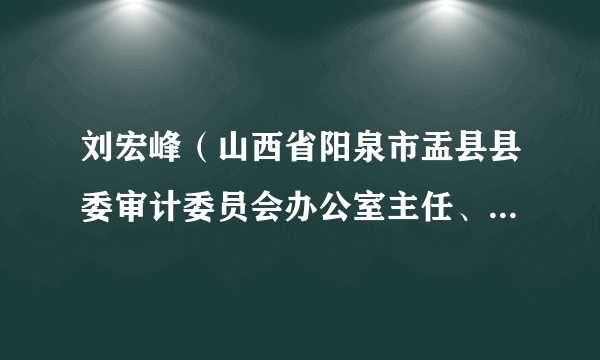 刘宏峰（山西省阳泉市盂县县委审计委员会办公室主任、党组书记、盂县审计局党支部书记、局长）