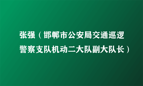 张强（邯郸市公安局交通巡逻警察支队机动二大队副大队长）