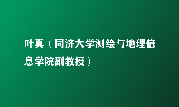 叶真（同济大学测绘与地理信息学院副教授）