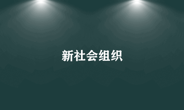 新社会组织