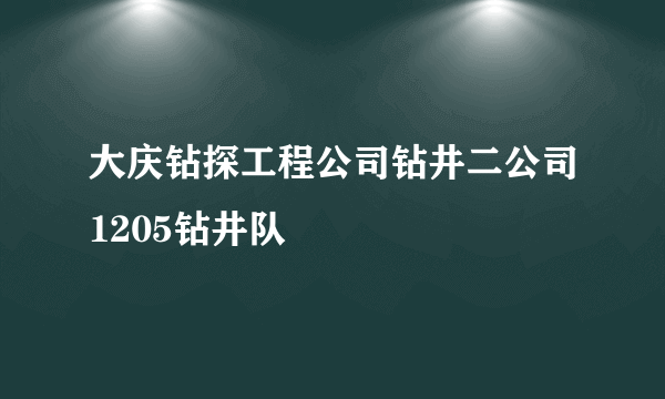 大庆钻探工程公司钻井二公司1205钻井队