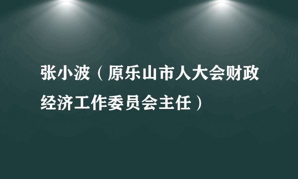 张小波（原乐山市人大会财政经济工作委员会主任）