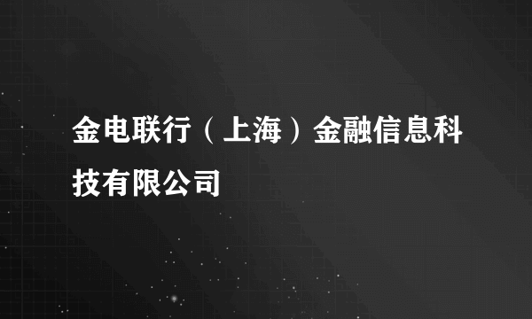 什么是金电联行（上海）金融信息科技有限公司