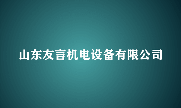 山东友言机电设备有限公司