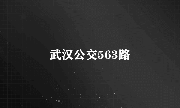 武汉公交563路