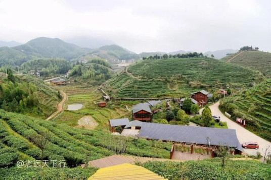 什么是大田大仙峰·茶美人景区