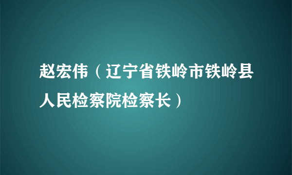 赵宏伟（辽宁省铁岭市铁岭县人民检察院检察长）