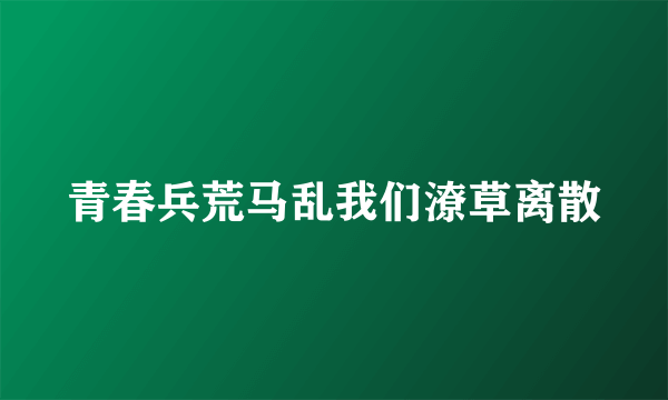 什么是青春兵荒马乱我们潦草离散