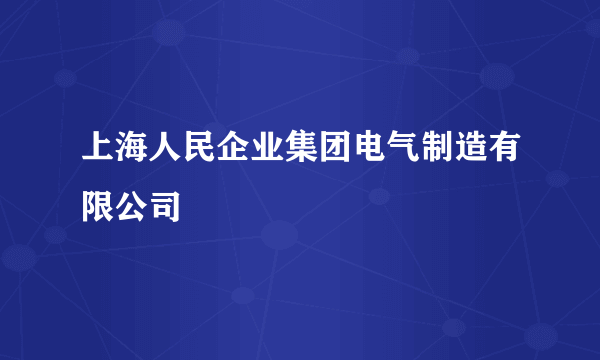 上海人民企业集团电气制造有限公司