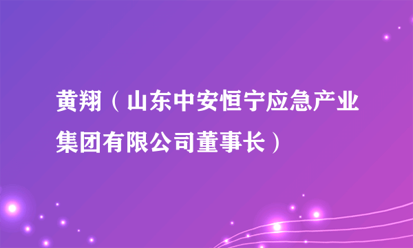 黄翔（山东中安恒宁应急产业集团有限公司董事长）