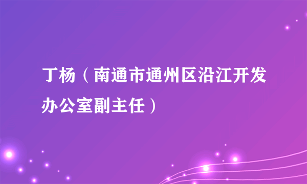 丁杨（南通市通州区沿江开发办公室副主任）