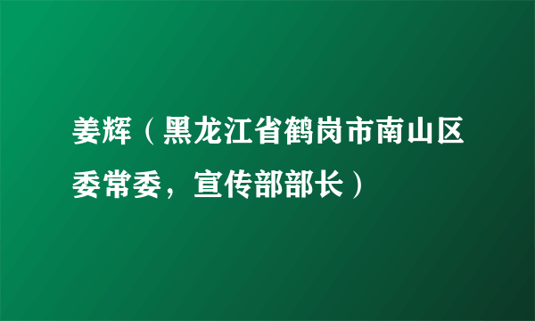 姜辉（黑龙江省鹤岗市南山区委常委，宣传部部长）