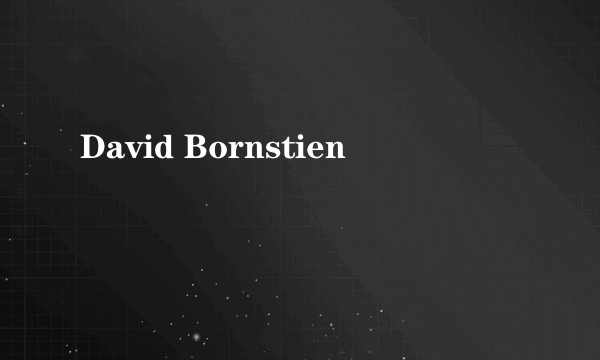 什么是David Bornstien