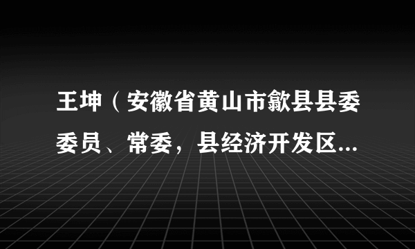 王坤（安徽省黄山市歙县县委委员、常委，县经济开发区党工委书记、管委会主任）