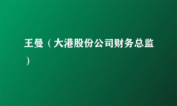 王曼（大港股份公司财务总监）