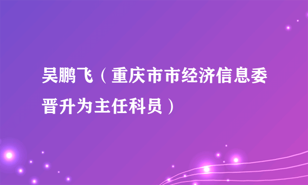 吴鹏飞（重庆市市经济信息委晋升为主任科员）