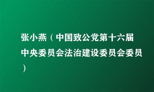 什么是张小燕（中国致公党第十六届中央委员会法治建设委员会委员）