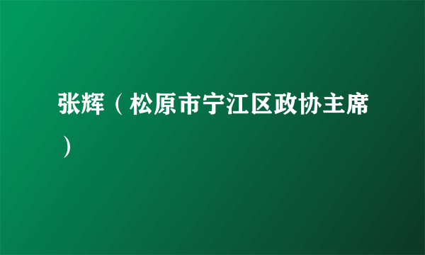 什么是张辉（松原市宁江区政协主席）