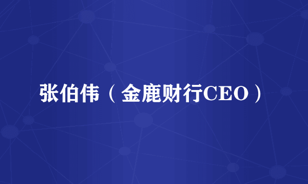 什么是张伯伟（金鹿财行CEO）