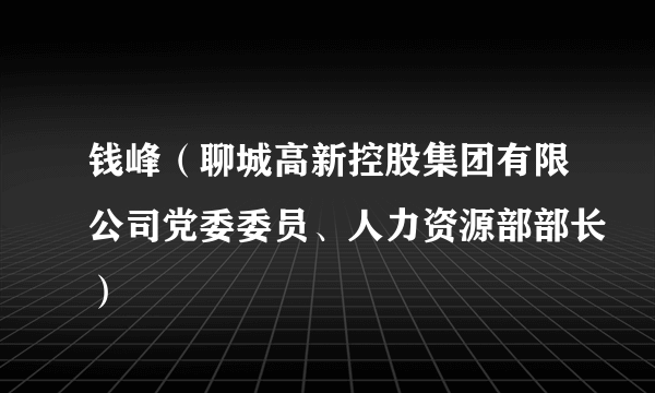 钱峰（聊城高新控股集团有限公司党委委员、人力资源部部长）