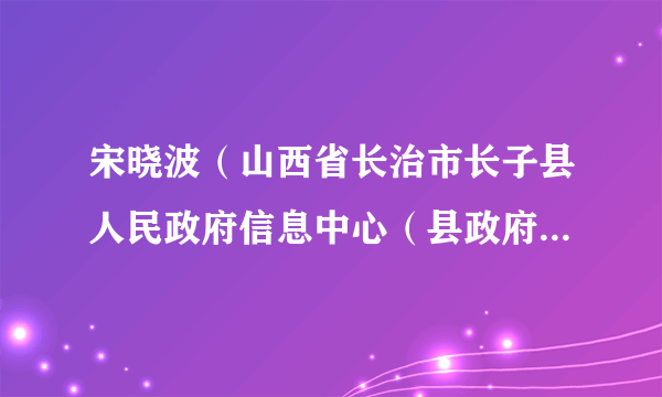 什么是宋晓波（山西省长治市长子县人民政府信息中心（县政府金融工作服务中心、县数字政府服务中心）副主任）