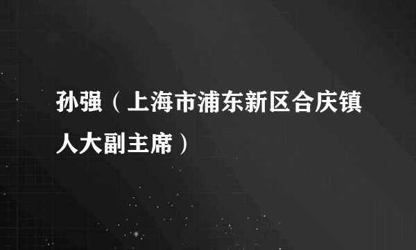 孙强（上海市浦东新区合庆镇人大副主席）